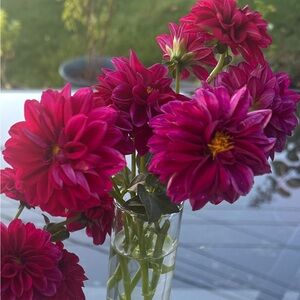 Meet your Posher, Courtney